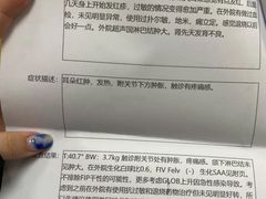 -申普宠物医院·心脏介入·心血管微创(总院)