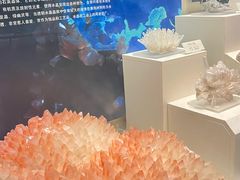 -天津自然博物馆