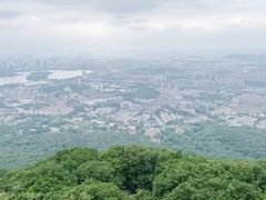 -紫金山山顶公园