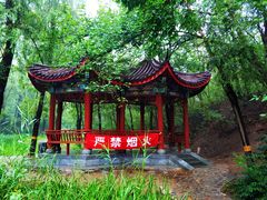 -云岗森林公园