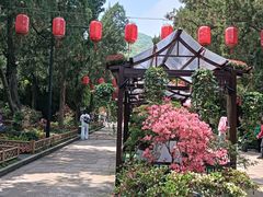 -上海尚嘉中心