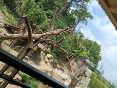 -宁波野生动物园