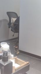 -甲舍if日式美甲美睫