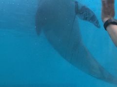 -波塞冬旅游度假区