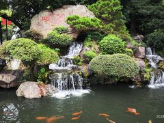 -江心屿景区