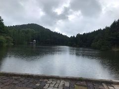 -四明山国家森林公园