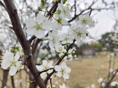 -桂溪生态公园
