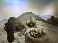 -国家自然博物馆