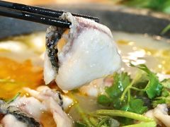 -大鼎石锅鱼(春江里店)