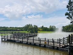-大湾区中央湿地公园