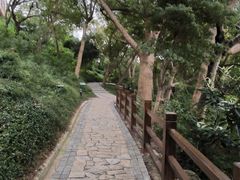 -外蒲山