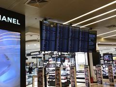 -谢列梅捷沃国际机场