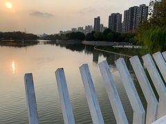 -南翔镇银翔湖公园