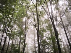 -洛阳白云山景区