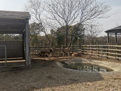 -苏州太湖西山岛开心农场