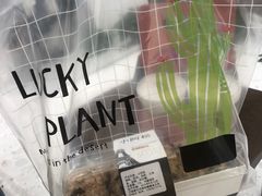 -iFood甜嫩嫩(江东北路店)