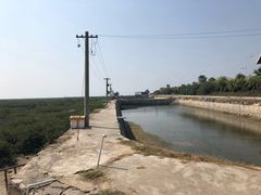 -北海金海湾红树林生态旅游区