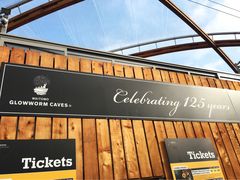 -怀托摩萤火虫洞