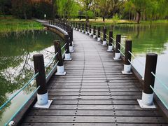 -渤公岛生态公园