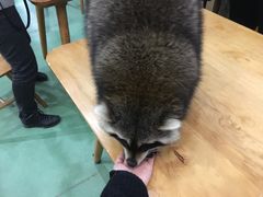 -藦茜花园宠物主题亲子互动体验馆(国顺东路店)