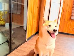 -秦皇岛野生动物园