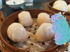 添运来虾饺皇-添运来(茶园奥园广场店)