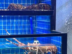 -吉友粥底火锅(方斜路店)