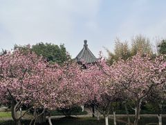 -明故宫遗址公园