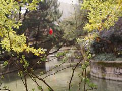 -上海醉白池公园