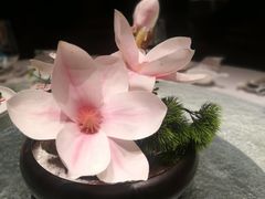 -天港海鲜(创新港天港禧悦酒店)