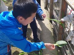 -前小桔亲子创意农场·草莓采摘·露营烧烤