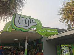 -圣淘沙天际线斜坡滑车