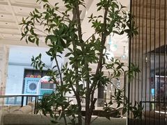 -南美水疗(七莘路店)