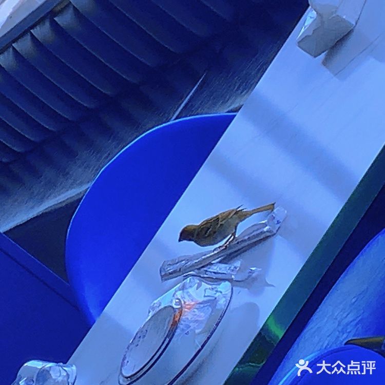 全海景海鲜餐厅