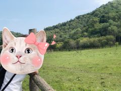 -秦岭峡谷漂流景区