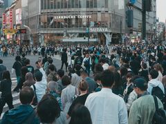 -涩谷区