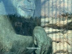 -鄂尔多斯野生动物园