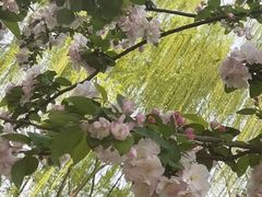 -丰台科技园生态主题公园