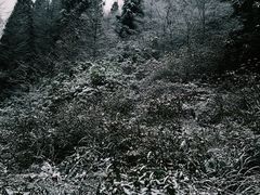 -山王坪喀斯特国家生态公园
