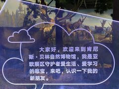 -陕西自然博物馆