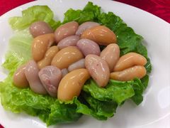 -花苑美食横琴生蚝火锅(拱北粤华路店)