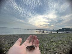 -星海湾跨海大桥