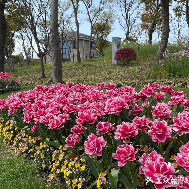 观赏着美丽的风景，春回大地，万物复苏，吸着清新的空气