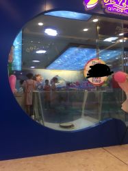 -海豚啵啵体智能游泳馆(惠山万达广场店)