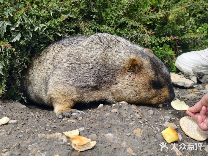 墨石公园景区图片