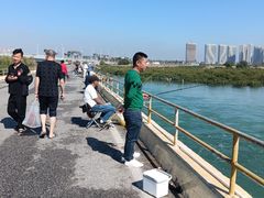 -北海金海湾红树林生态旅游区