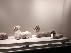 -徐州博物馆