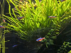 -上海海洋水族馆