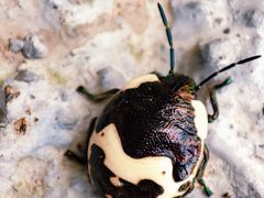 -锦屏山旅游度假区