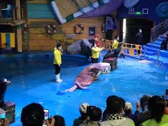 -烟台海昌鲸鲨海洋公园